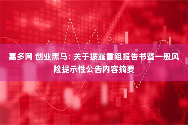 嘉多网 创业黑马: 关于披露重组报告书暨一般风险提示性公告内容摘要