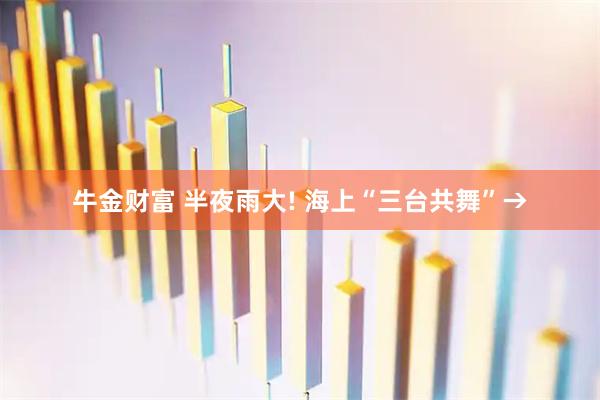 牛金财富 半夜雨大! 海上“三台共舞”→