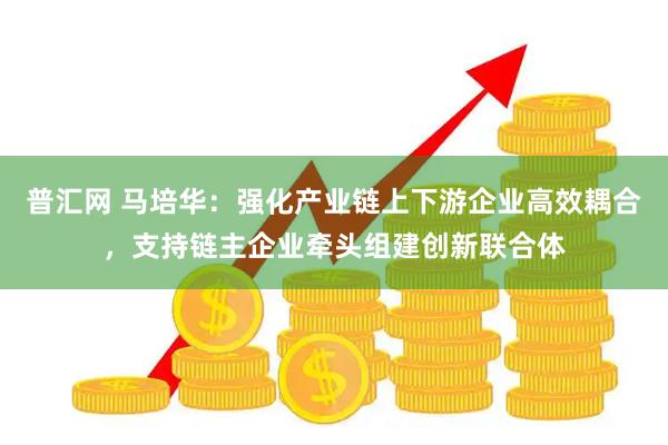 普汇网 马培华:强化产业链上下游企业高效耦合,支持链主企业牵头组建创新联合体