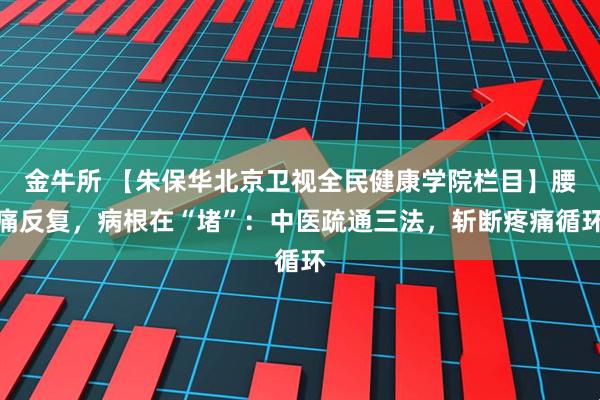 金牛所 【朱保华北京卫视全民健康学院栏目】腰痛反复，病根在“堵”：中医疏通三法，斩断疼痛循环